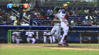 2012/06/05 Hudson's sac fly