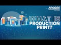 What is production print  apogee corporation