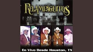 Video thumbnail of "Relampaguitos - Rey Pobre (En Vivo)"