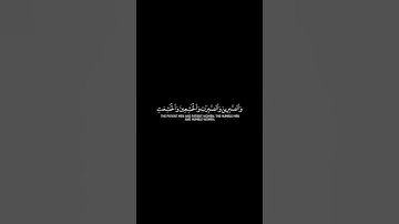 تراكب مجاني سورة الاحزاب القارئ  عمار سيلدينسكي