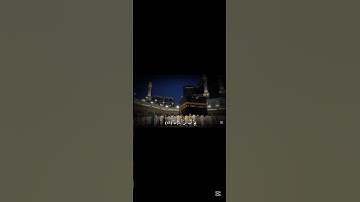 سورة النازعات(40)|ياسر الدوسري