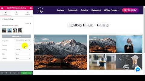 Lightbox Image + Lightbox Gallery with Title and Caption Elementor Tutorial