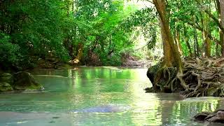White noise for studying - Peaceful river flow in forest