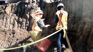 Ancient Camel and other Ice Age Finds on the Purple Line Extension