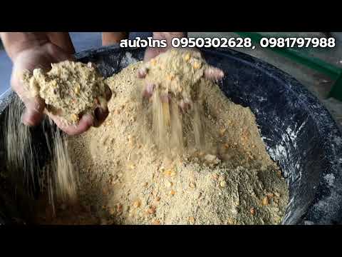 เครื่องผสมอาหารสัตว์ ราคาประหยัด 0950302628 | สรุปข้อมูลที่ปรับปรุงใหม่ที่เกี่ยวข้องกับเครื่อง ผสม อาหาร ไก่ ไข่