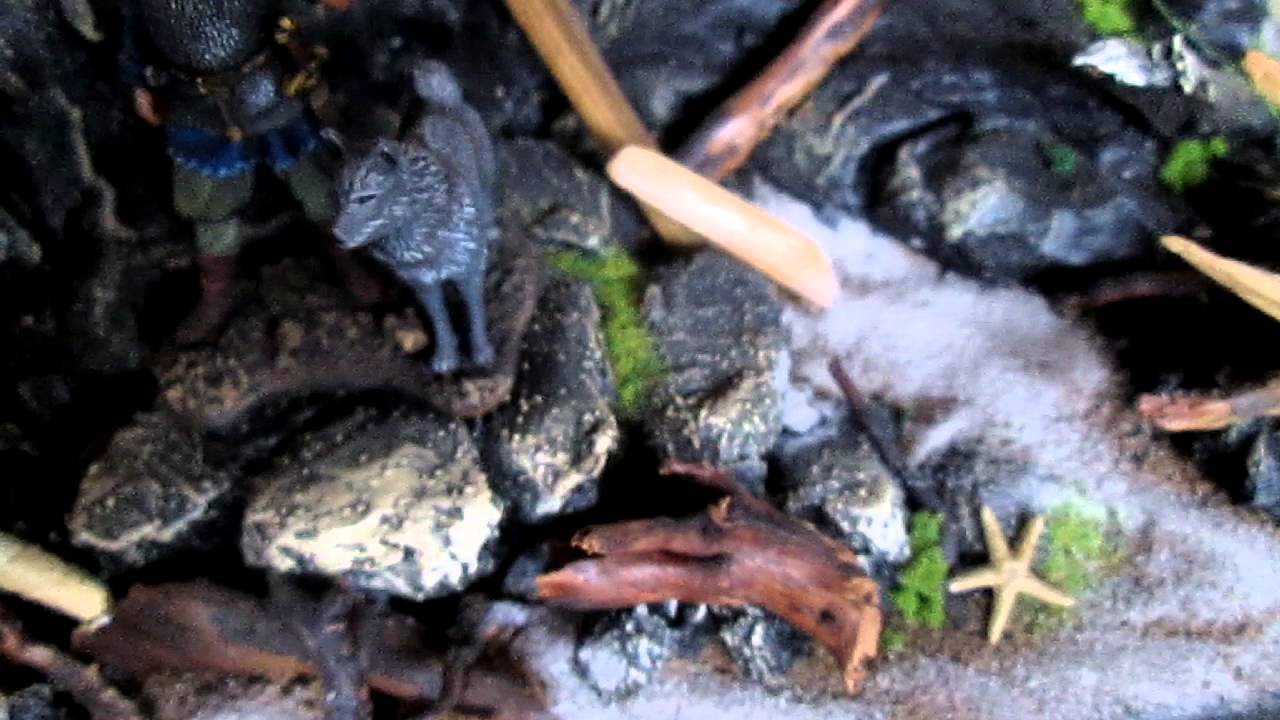 An der Küste der Wikinger - YouTube