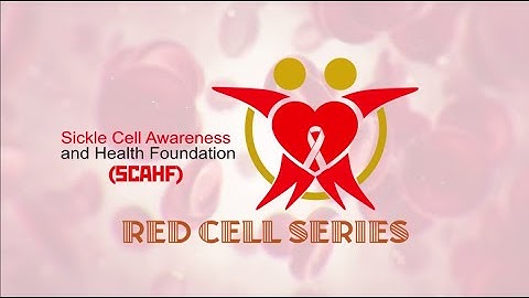 RED CELL SERIES || INTRODUCTION