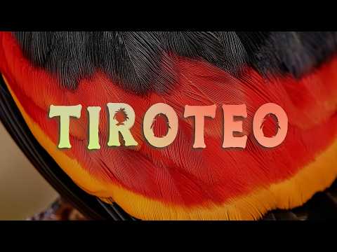 Marc Seguí - Tiroteo (Remix) ft. Rauw Alejandro & Pol Granch
