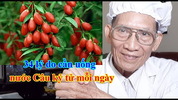 34 lý do cần uống nước Câu kỷ tử mỗi ngày l Dr.Do Nguyen Thieu Official