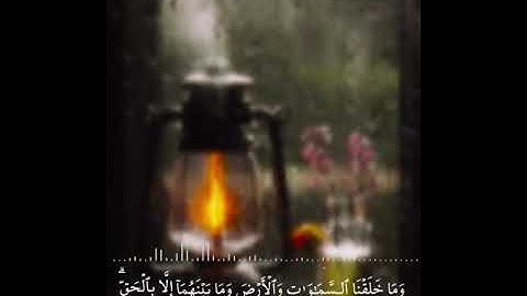 من سورة الحجر بصوت هادئ للقارئ || بلال الدهدار