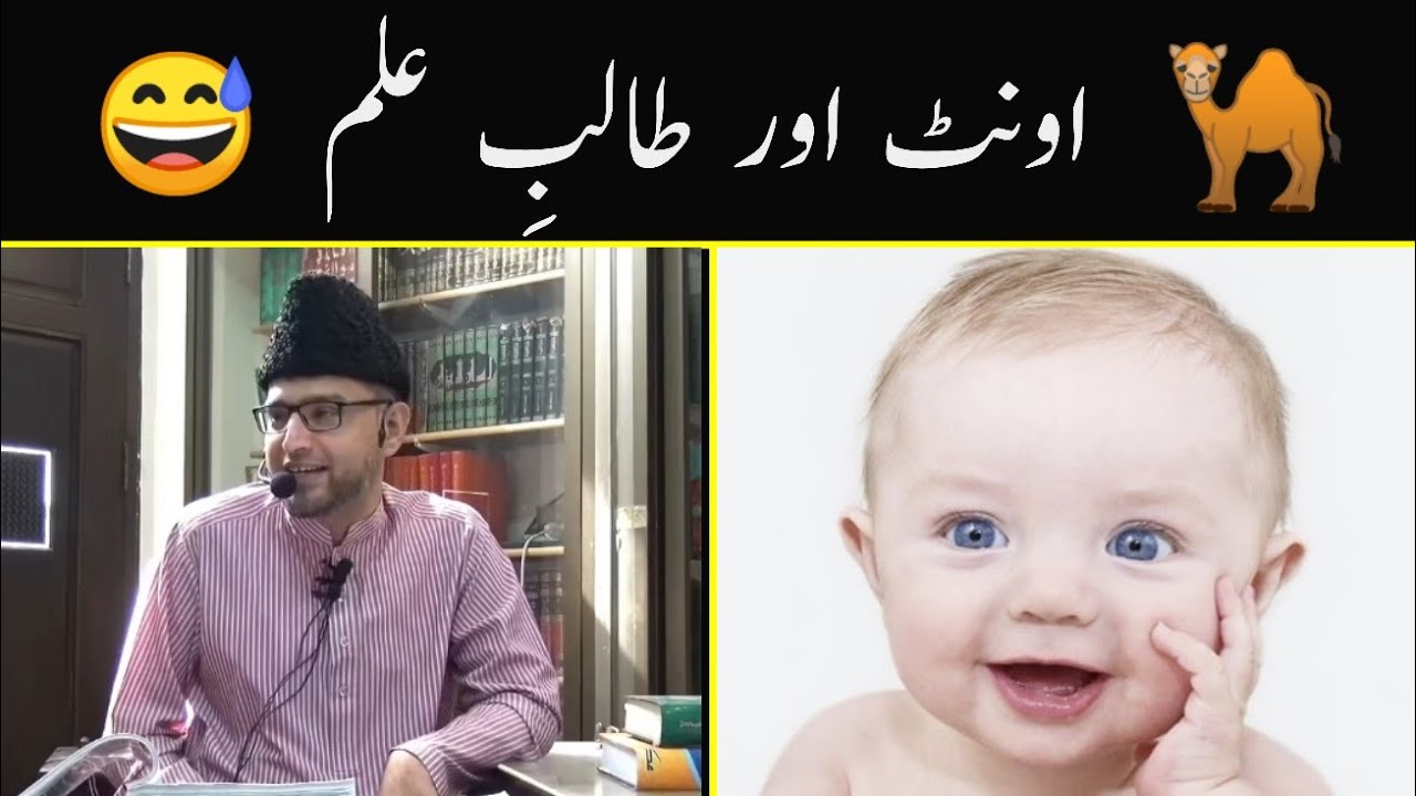 FUNNY | Camel, Student and Teacher | Oont, Talib e ilm aur Ustaad | Brother Kashif Ali