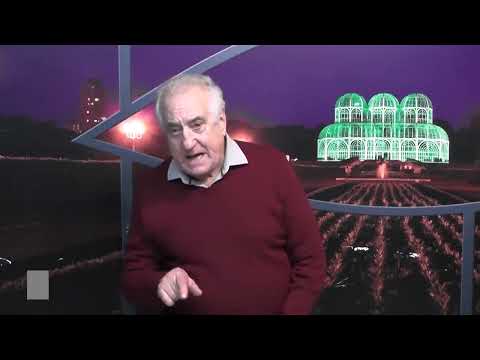 Comentários do Futebol com Zé Domingos - 11 de dezembro/2024
