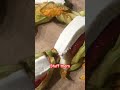Sweet stuffed zucchini flowers #cooking #farming