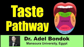 Taste Pathway, Dr Adel Bondok