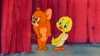 ... tom and jerry - little quacker episode 47 cartoon ►
iukeitv™...