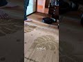 【お盆決定版】ルンバが収まらない。