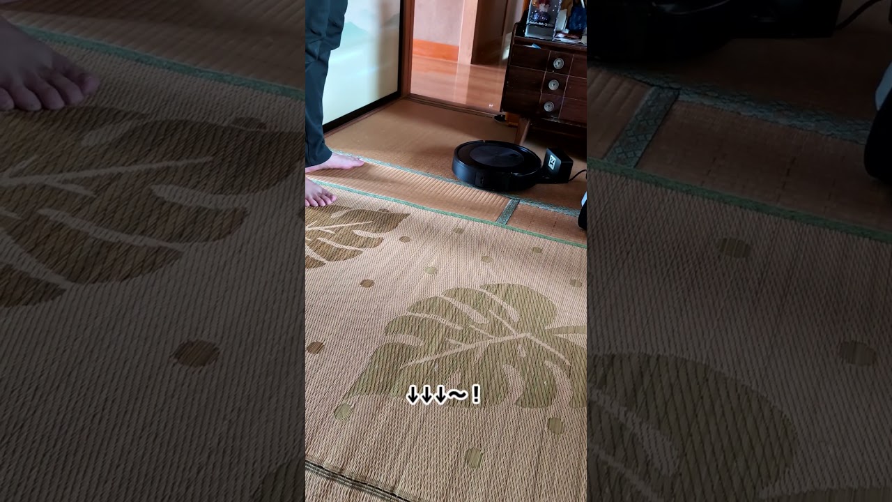 【お盆決定版】ルンバが収まらない。