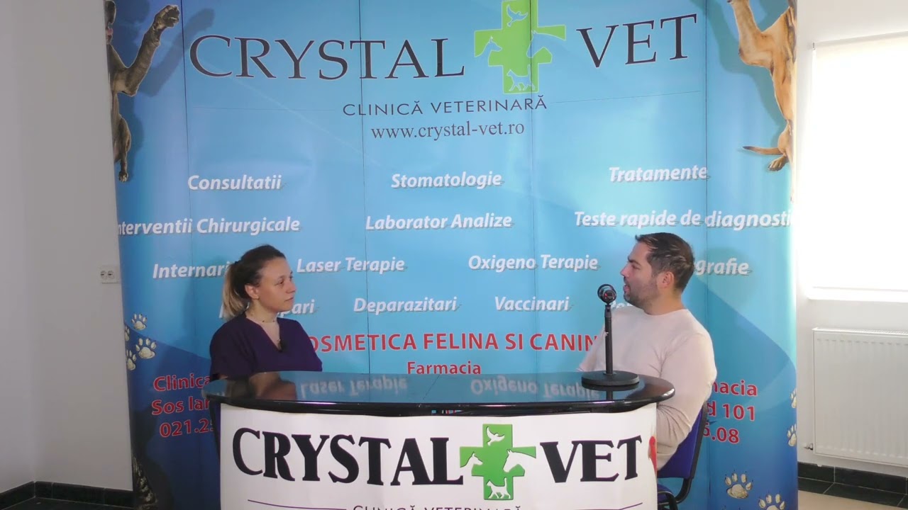 Achizitia unui animal de companie