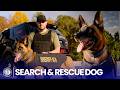 How a Dedicated K9 Supported His Handler Through Every Call | AKC Stories
