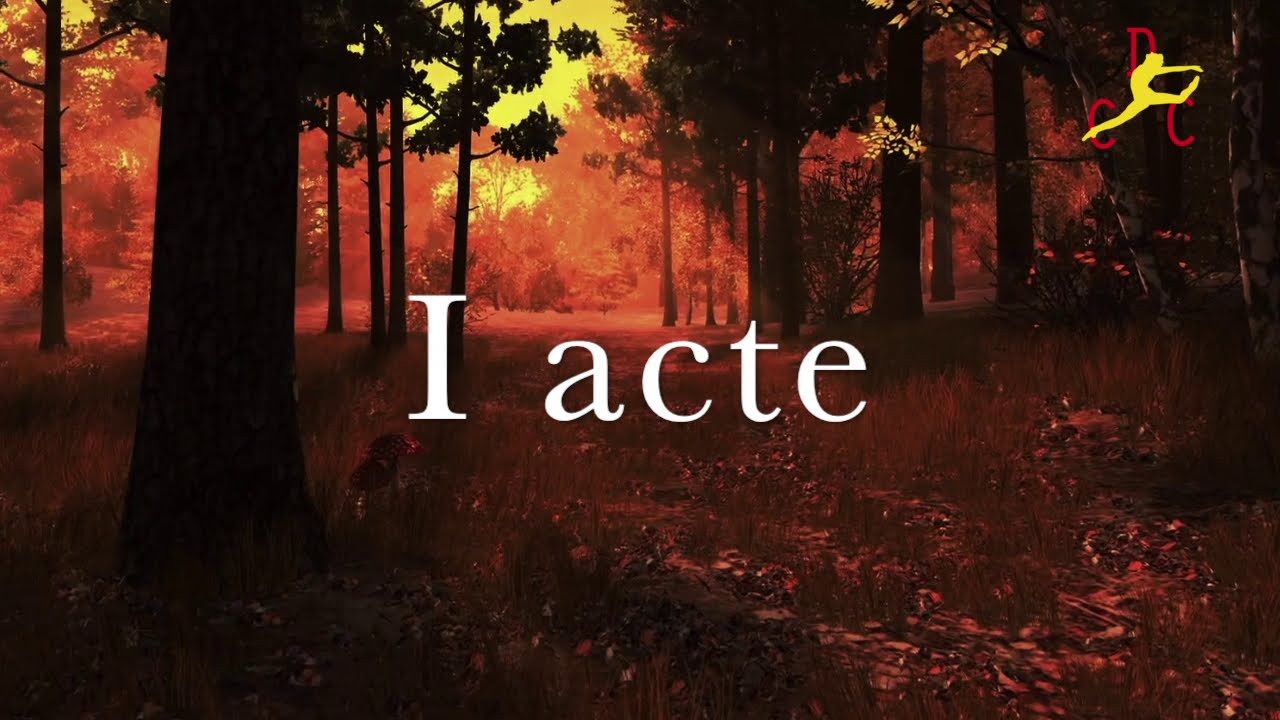 Giselle I act CDC