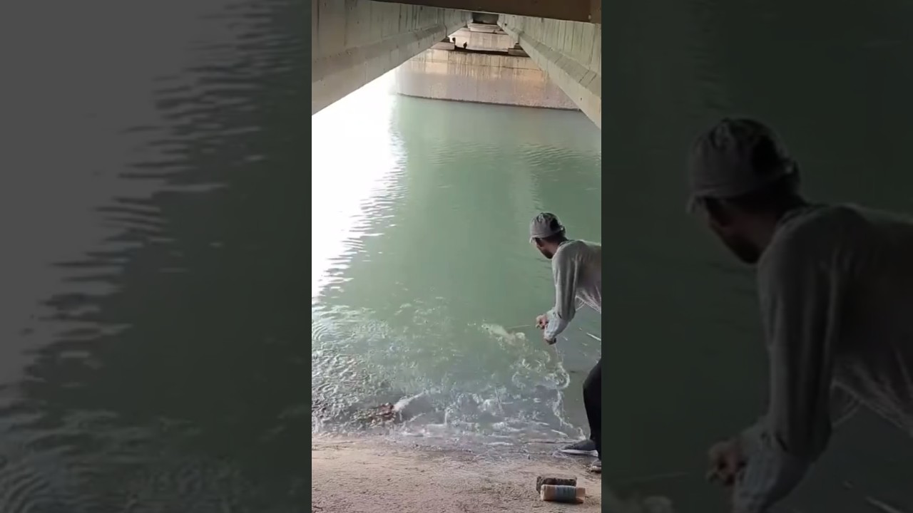 amazing fishing 🎣