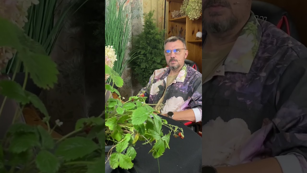 ЧЕМ и ЗАЧЕМ обрабатывают семена перед посевом 