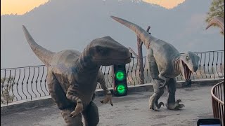 Dino valley in Islamabad | dinosaurs dance video