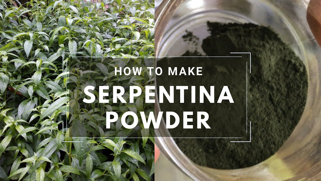 How to Make Serpentina Powder YouTube