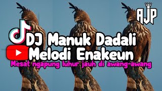Dj Manuk Dadali Melodi Mengkane || Mesat Ngapung Luhur Jauh Di Awang Awang