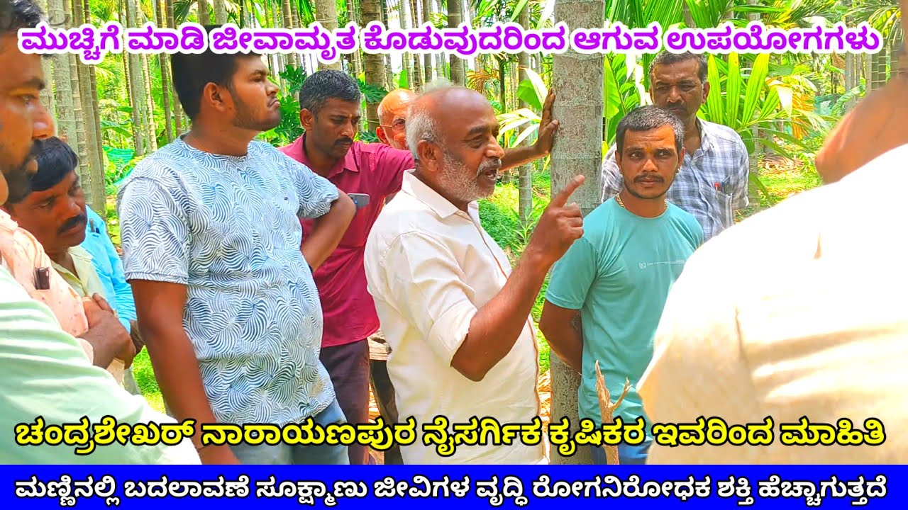 ಮುಚ್ಚಿಗೆ ಮಾಡಿ ಜೀವಾಮೃತ ಕೊಡುವುದರಿಂದ ಆಗುವ ಉಪಯೋಗಗಳು ರೋಗನಿರೋಧಕಶಕ್ತಿ ವೃದ್ಧಿ ಸೂಕ್ಷ್ಮಾಣು ಜೀವಿಗಳವೃದ್ಧಿ ಮಾಹಿತಿ