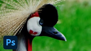 Photoshop CC: All-New Smart Sharpen | Adobe Photoshop screenshot 1