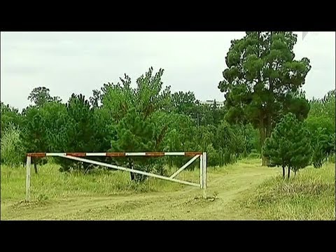 არასამთავრობო ორგანიზაციების მიმართვა მერიას