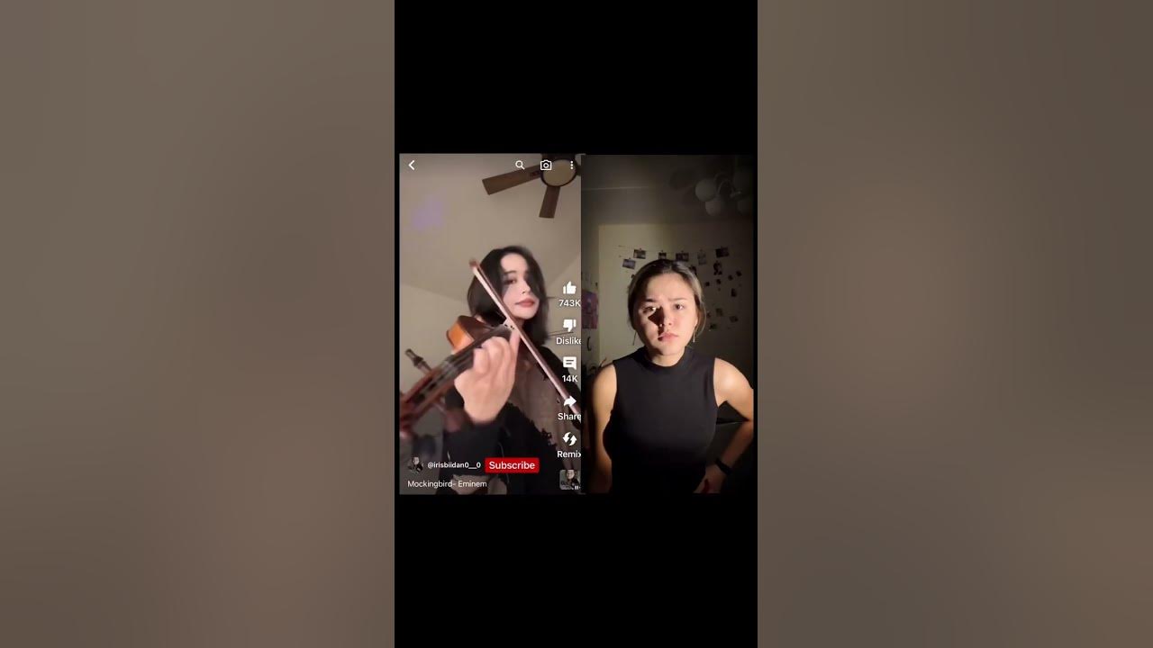 🤔Who is really playing the violin? 🎻 #tiktok #mockingbird