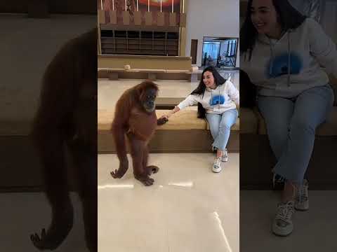 حبوبة الرائعة و الجميلة