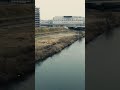 Relaxing Train Ride in Okayama, Japan 🇯🇵 | Quiet Countryside