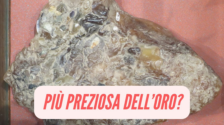 La leggendaria ambra grigia