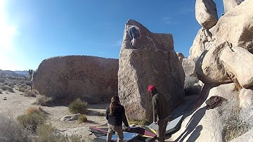 Joshua Tree - Riffraff