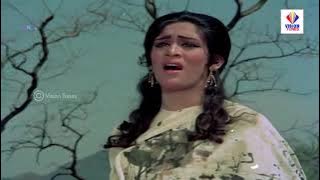 Na Tum Bewafa Ho Na Hum Bewafa Hai.8D Jhankar.Ek Kali Muskayee.NAINA SHAHU.Lata Mangeshkar.