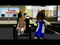 Tutti Mi Odiano In Questo Server Di Brookhaven!