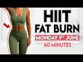 HIIT FAT BURN (lose belly fat) | 40 min Home Workout