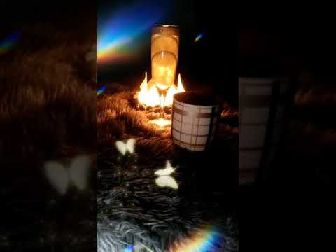 قال ايه بيسالوني وائل جسار حالات واتس Short 