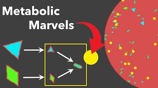 How Your Gut Microbes Are Evolving (Every Day)