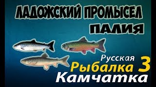 Русская Рыбалка 3.99 —Ладожский промысел (Палия)