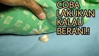 Taruh Bawang Putih Dibawah Bantal Saat Tidur, Ini yang Akan Terjadi.!!