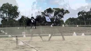 WP Winter Madame St Andrew’s Dressage Reserve Champion