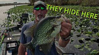 Giant Crappie Were Hiding in These Pads (Boat-Flipped Slabs!)