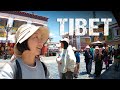 First time to tibet  real life of tibetan people  ep32 s2