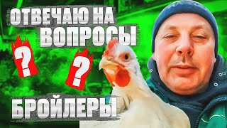:     . " "