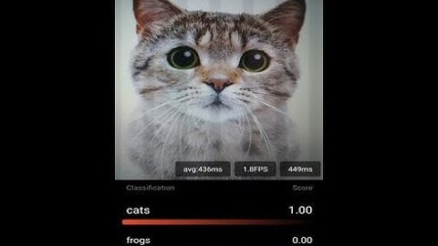 Making Deep Neural Networks ready for Mobile/Edge devices