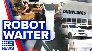 Queensland restaurants brace for robot waiters | 9 News Australia